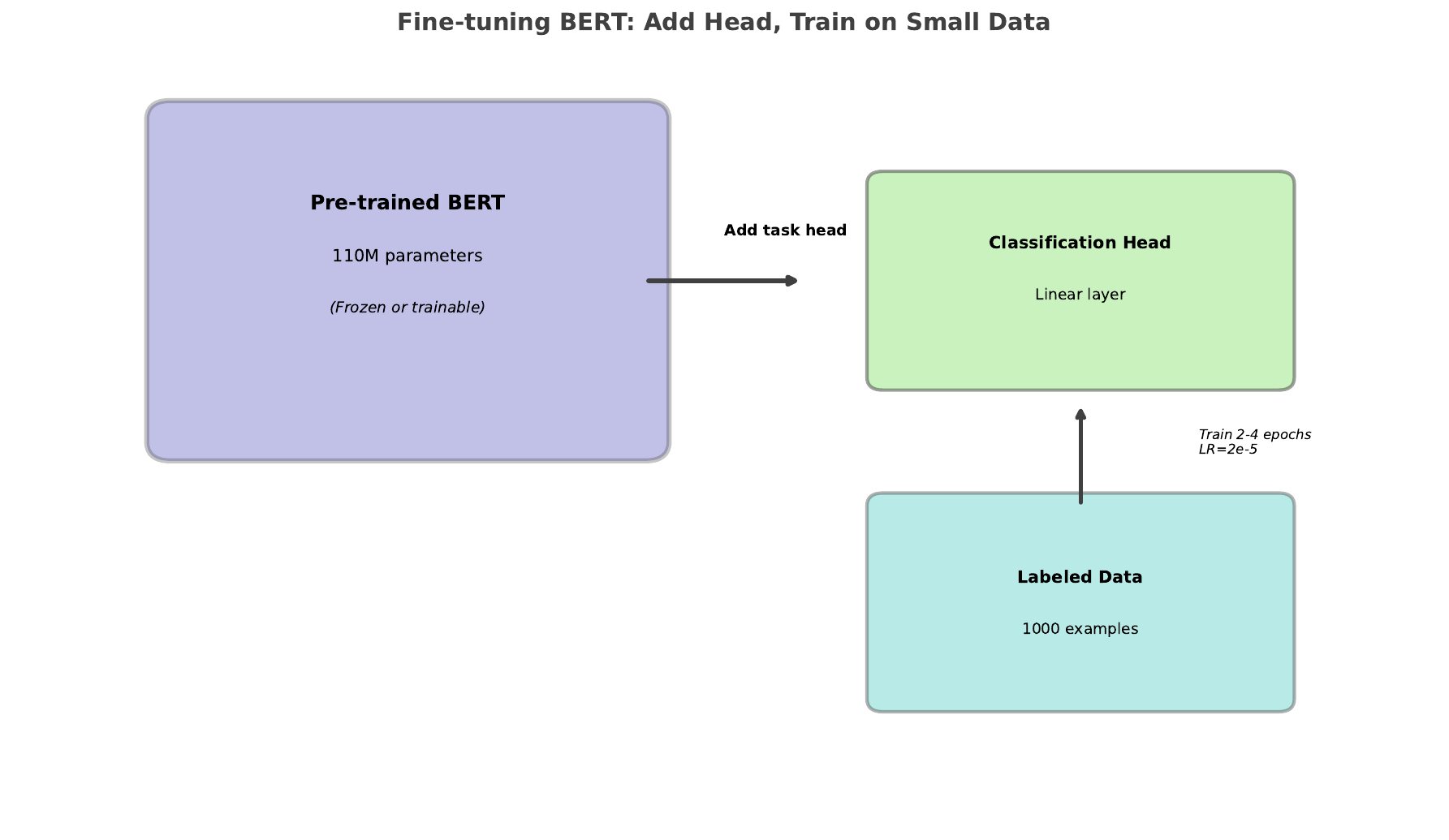 BERT Finetuning Process
