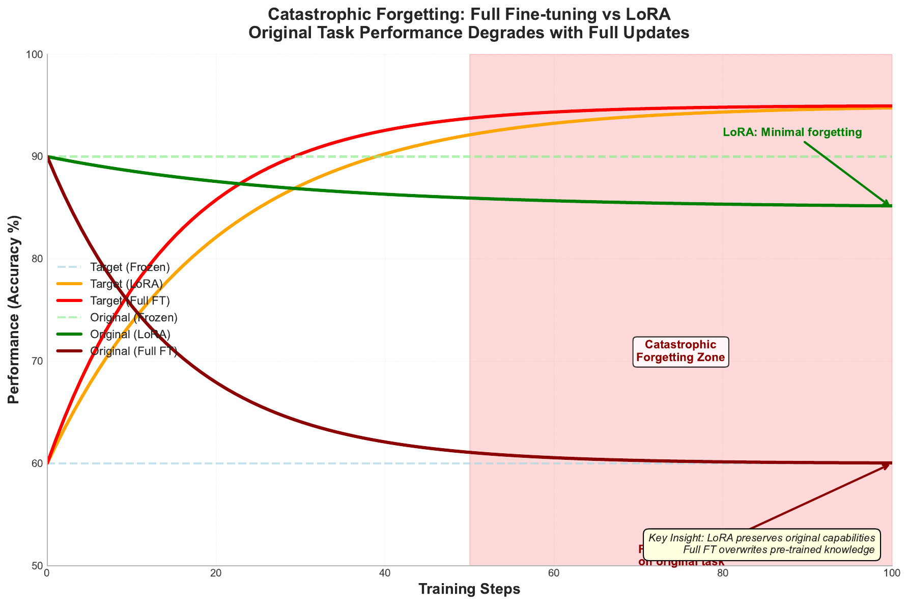 Catastrophic Forgetting