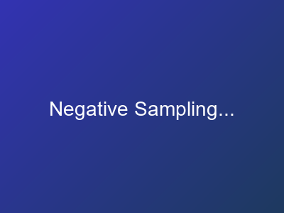 Negative Sampling Process