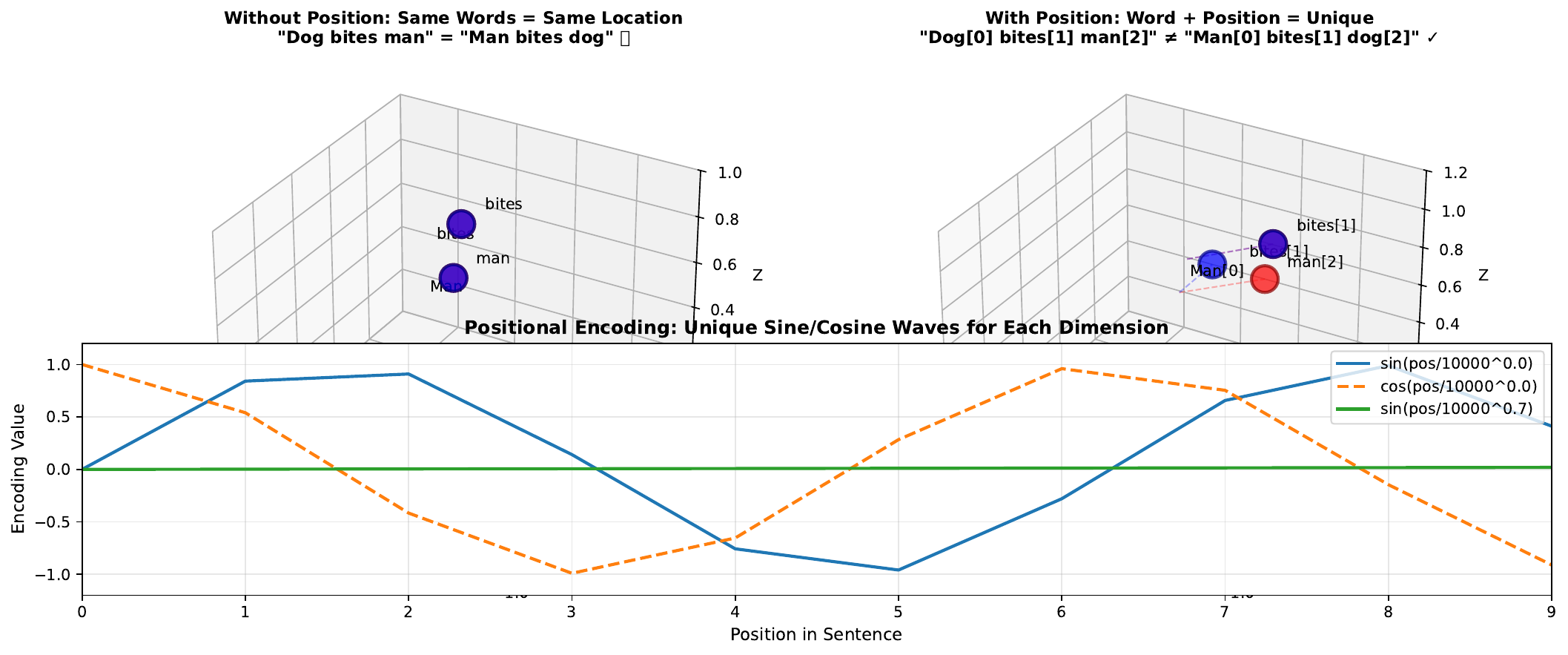Positional Encoding 3D