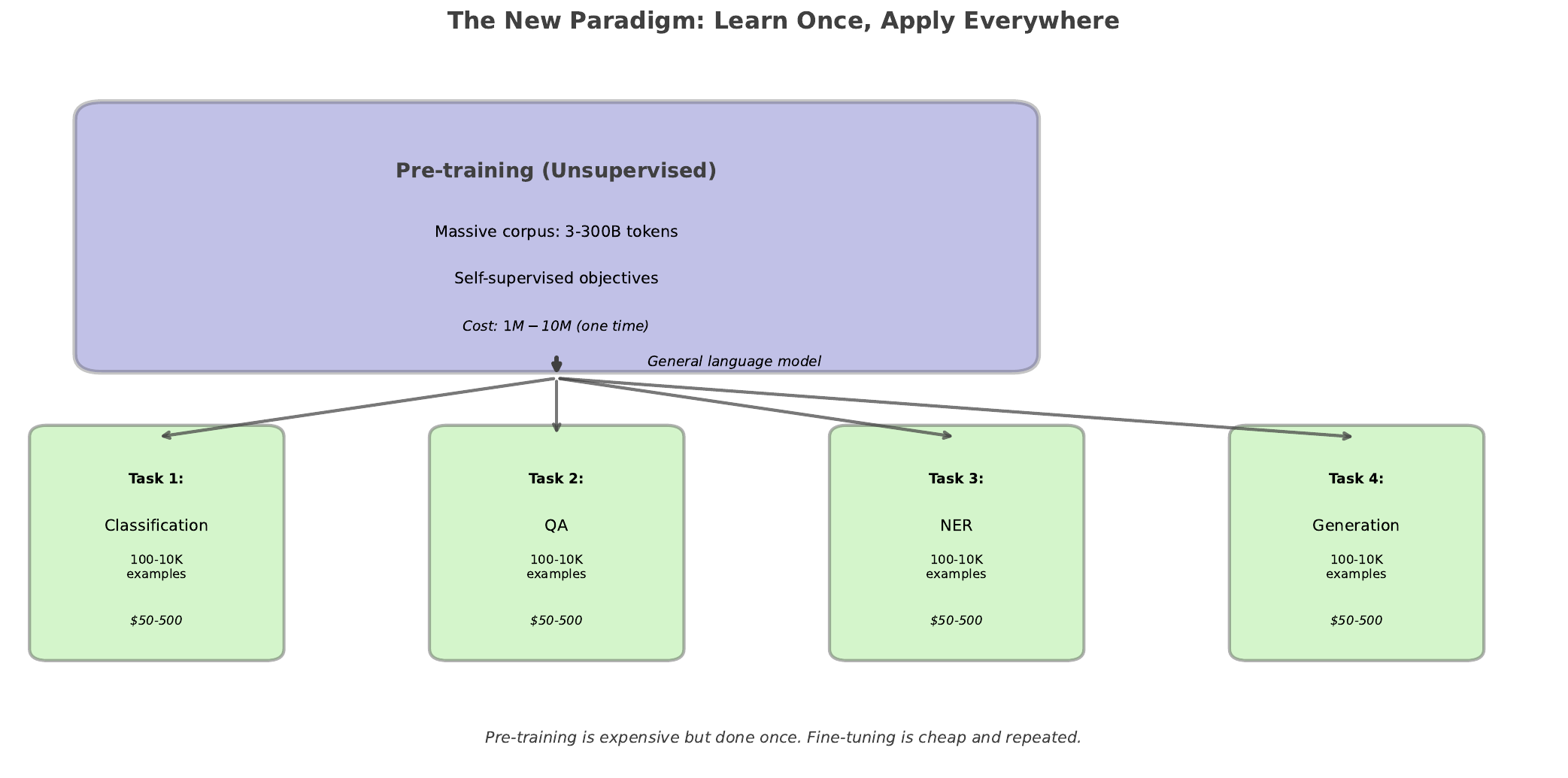 Pretraining Finetuning Paradigm