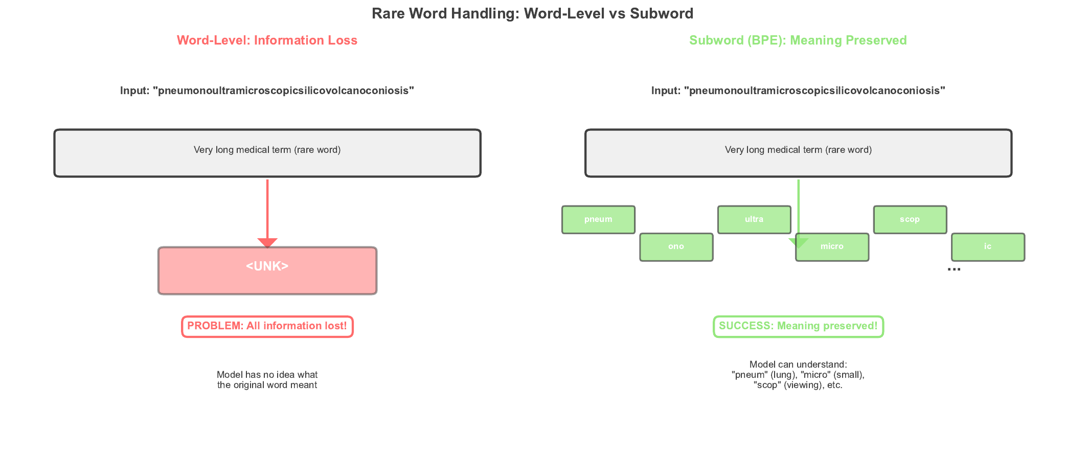 Rare Word Handling Visual