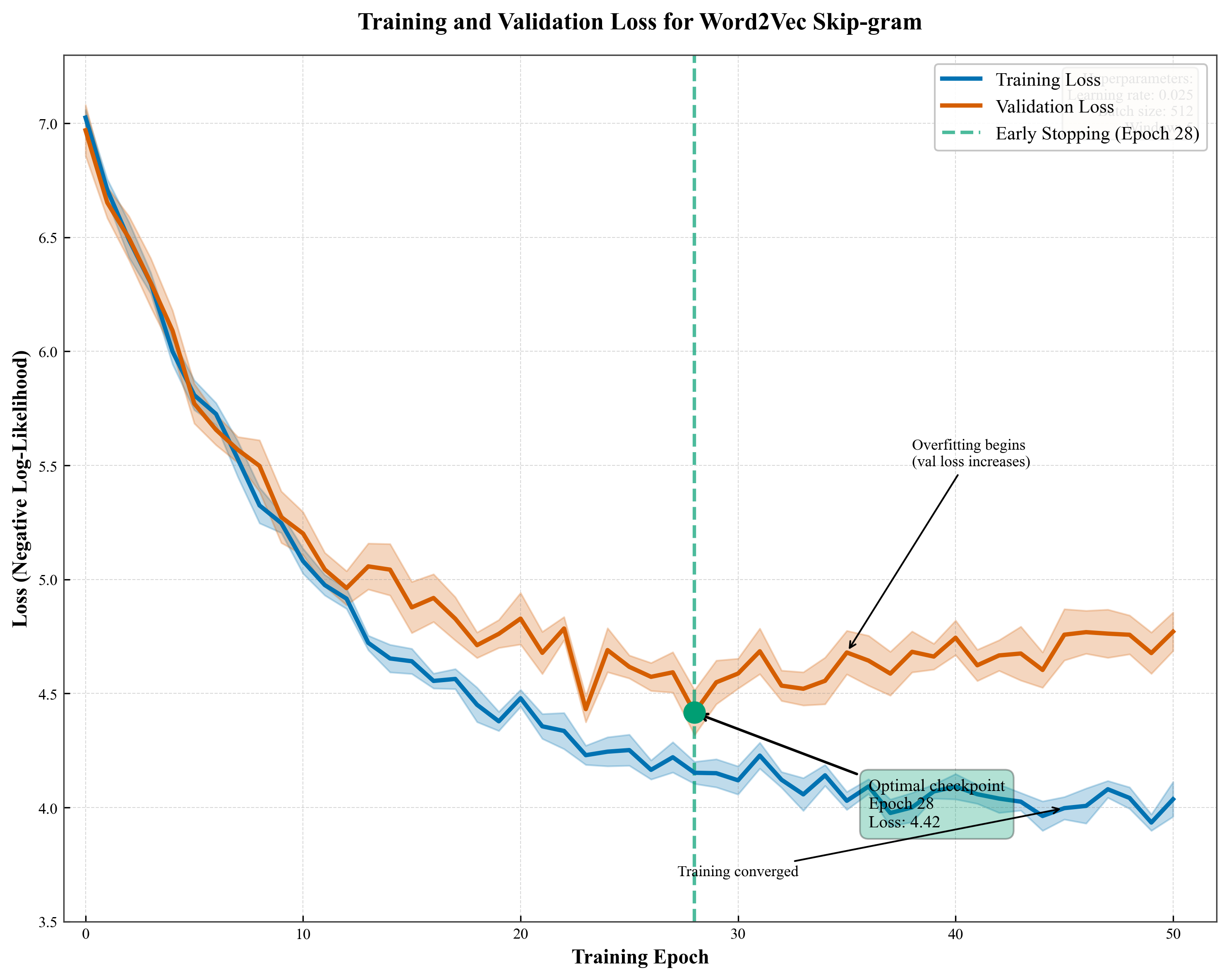 Training Loss Curve