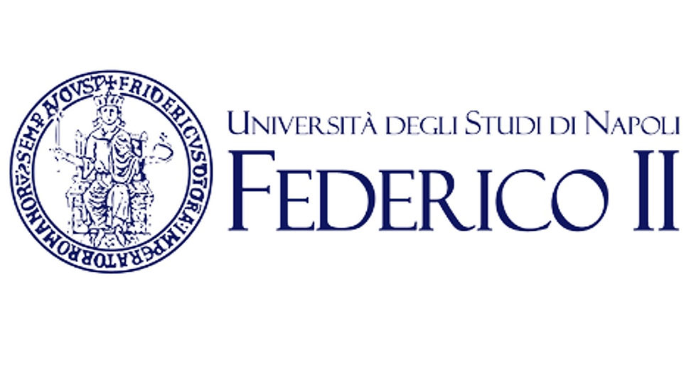  MSCA Network Event - Blended Intensive Program. Methods for Fintech and Artificial Intelligence in Finance, Naples(UNA)